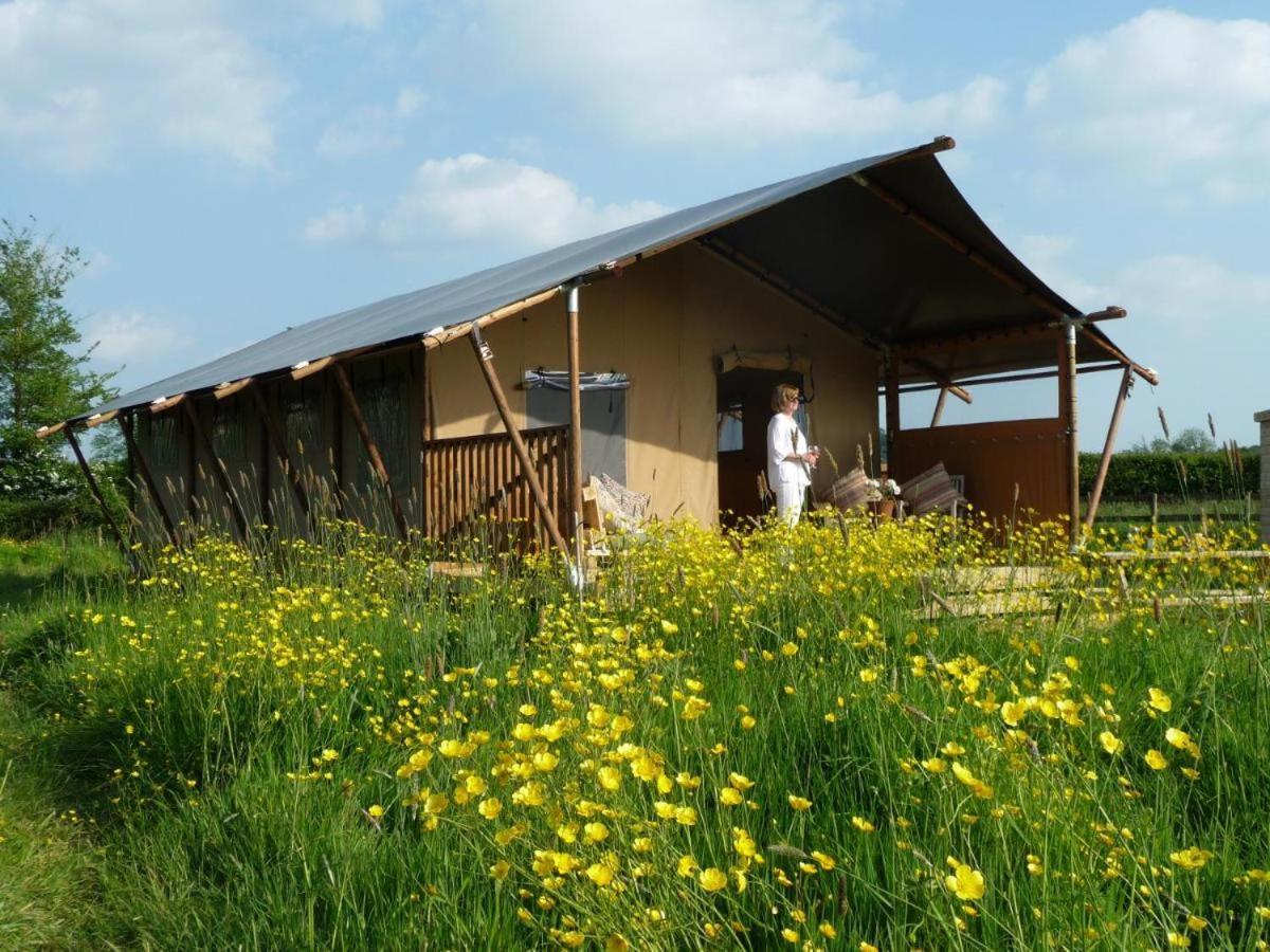 Tall Trees Glamping Baltonsborough Exterior foto